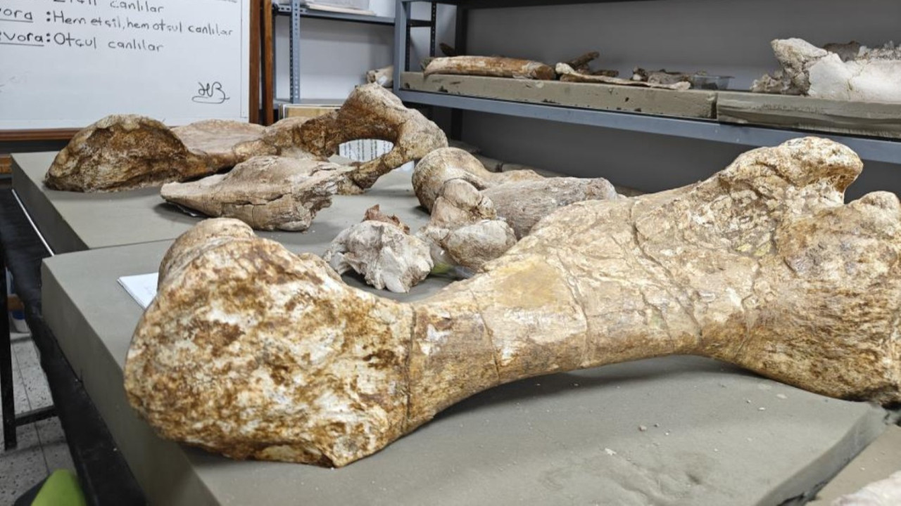 Kayseri’de 7,7 milyon yıllık fosil bulundu