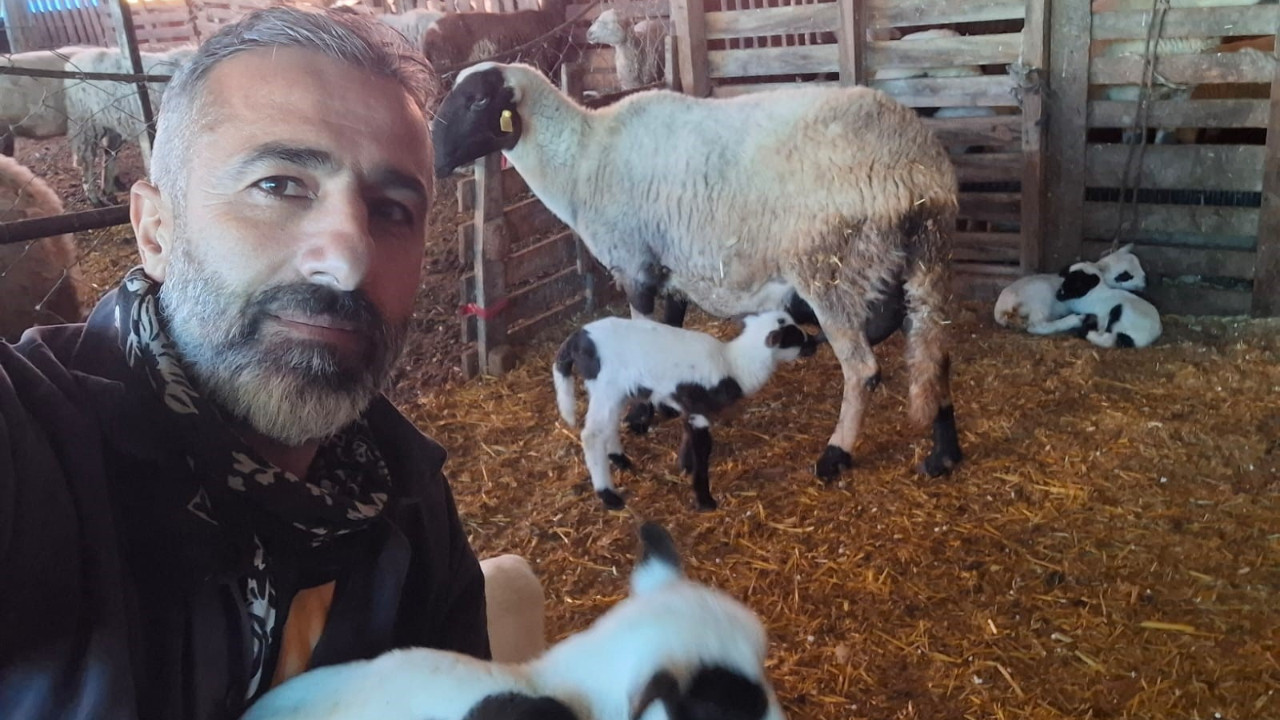 Hobi olarak başlamışlardı: Kuzuların DNA'sı incelenecek