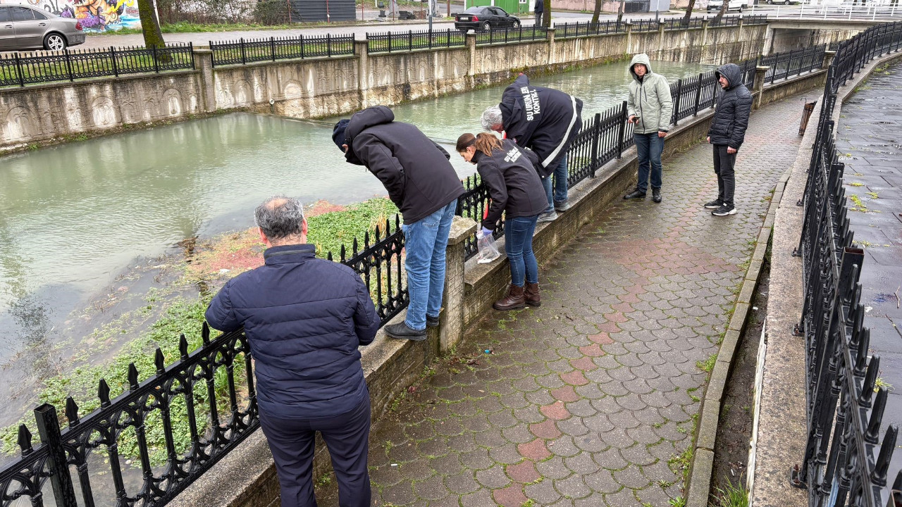 Binlerce balık öldü, ekipler harekete geçti