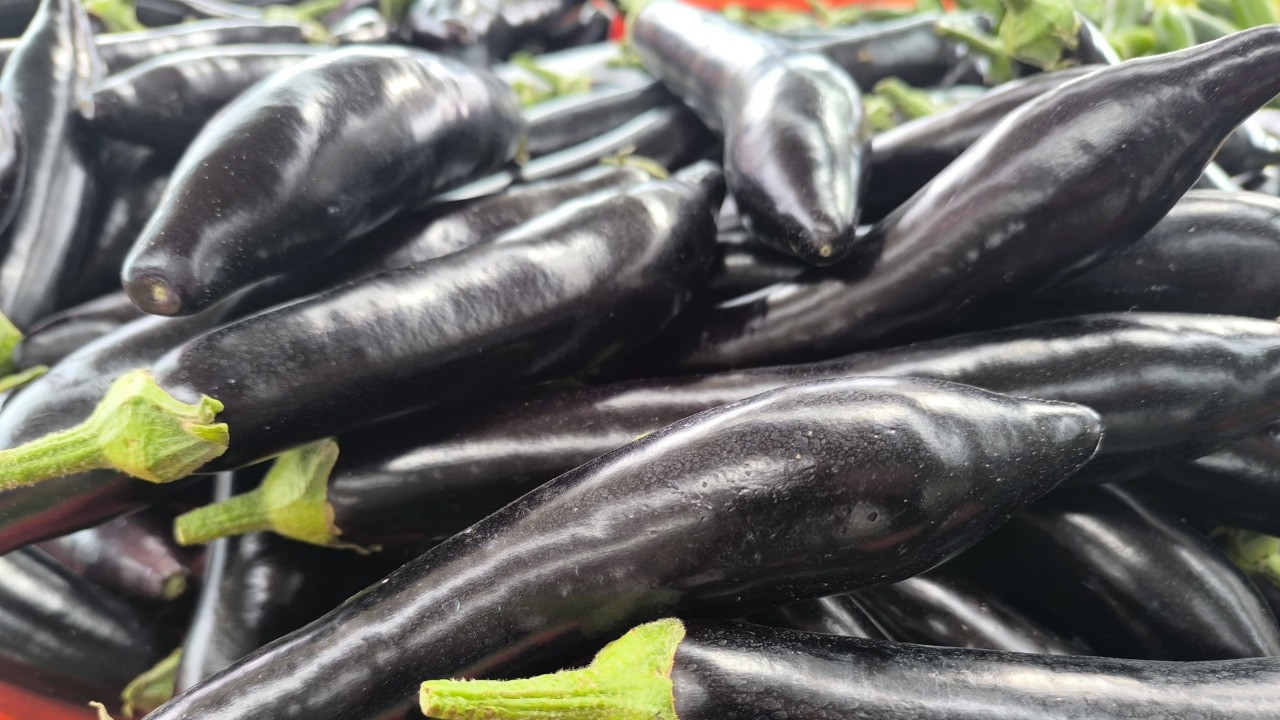 Patlıcanın tadını kaçtı...