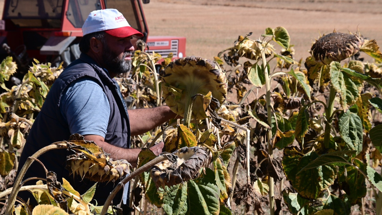 Tarımda 24 yılın en kötüsü