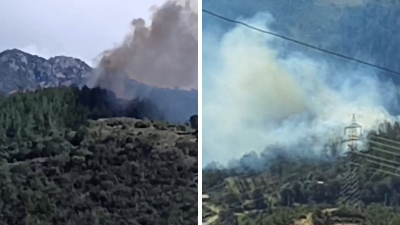 Elektrik direği ormanı yaktı