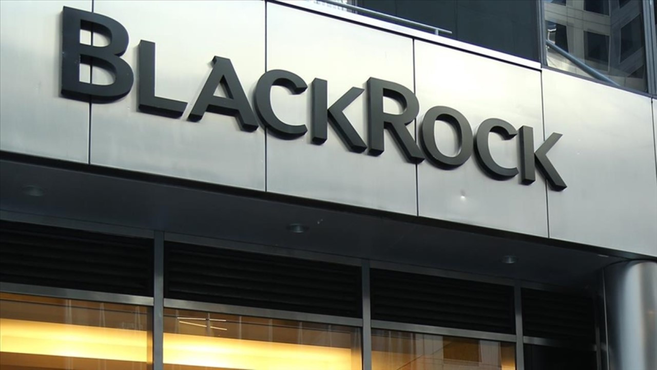 BlackRock'ın hisseleri sert düştü