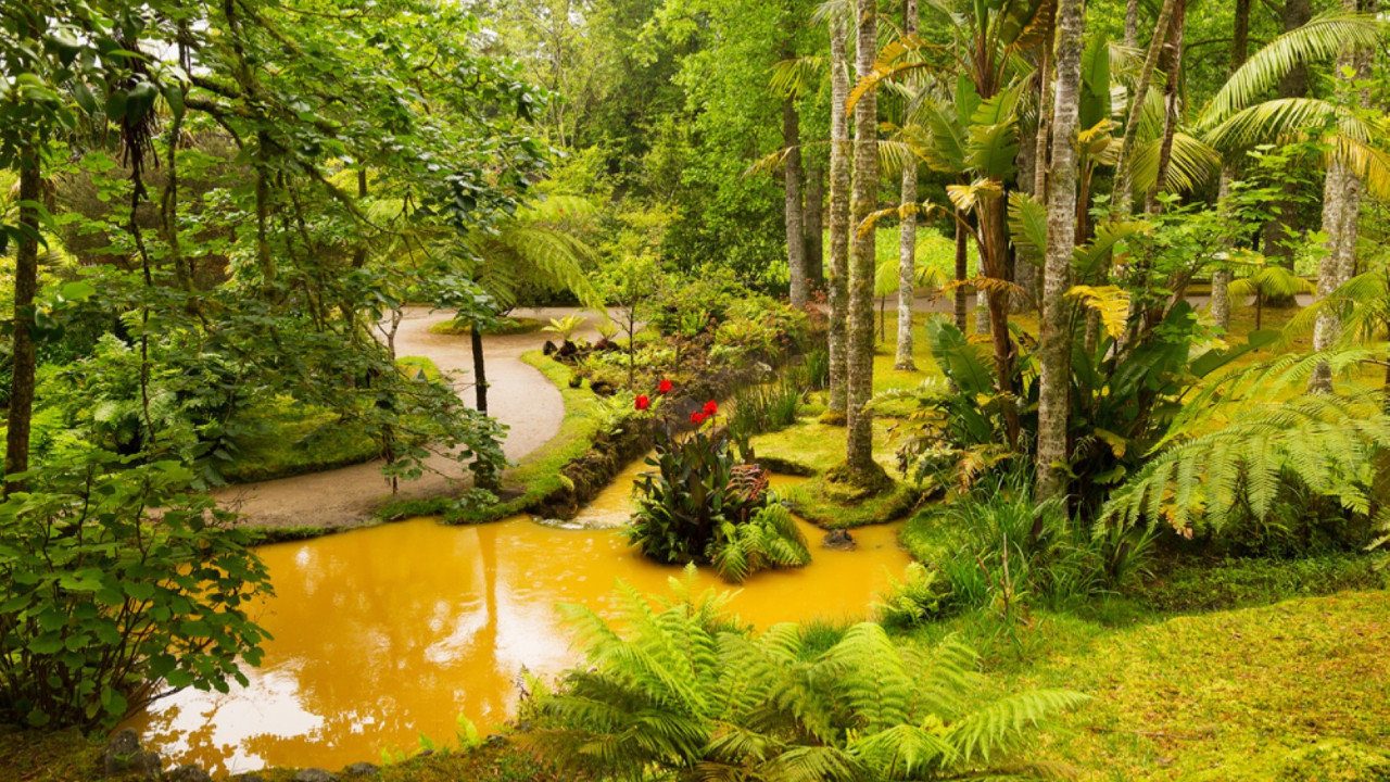 Avrupa ülkesine çevre cezası: Her gün 2 milyon TL ödeyecek