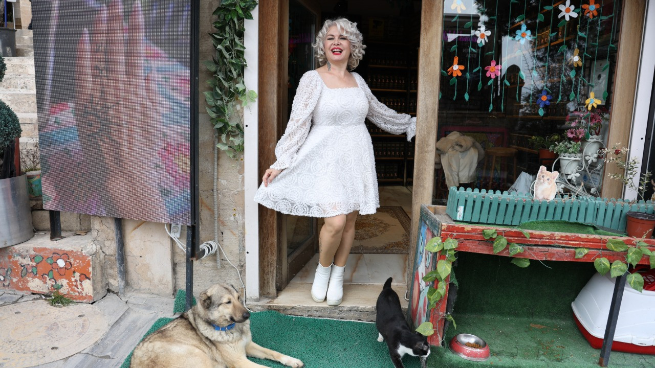 Sokak hayvanlarının annesi Mardinli Marilyn Monroe