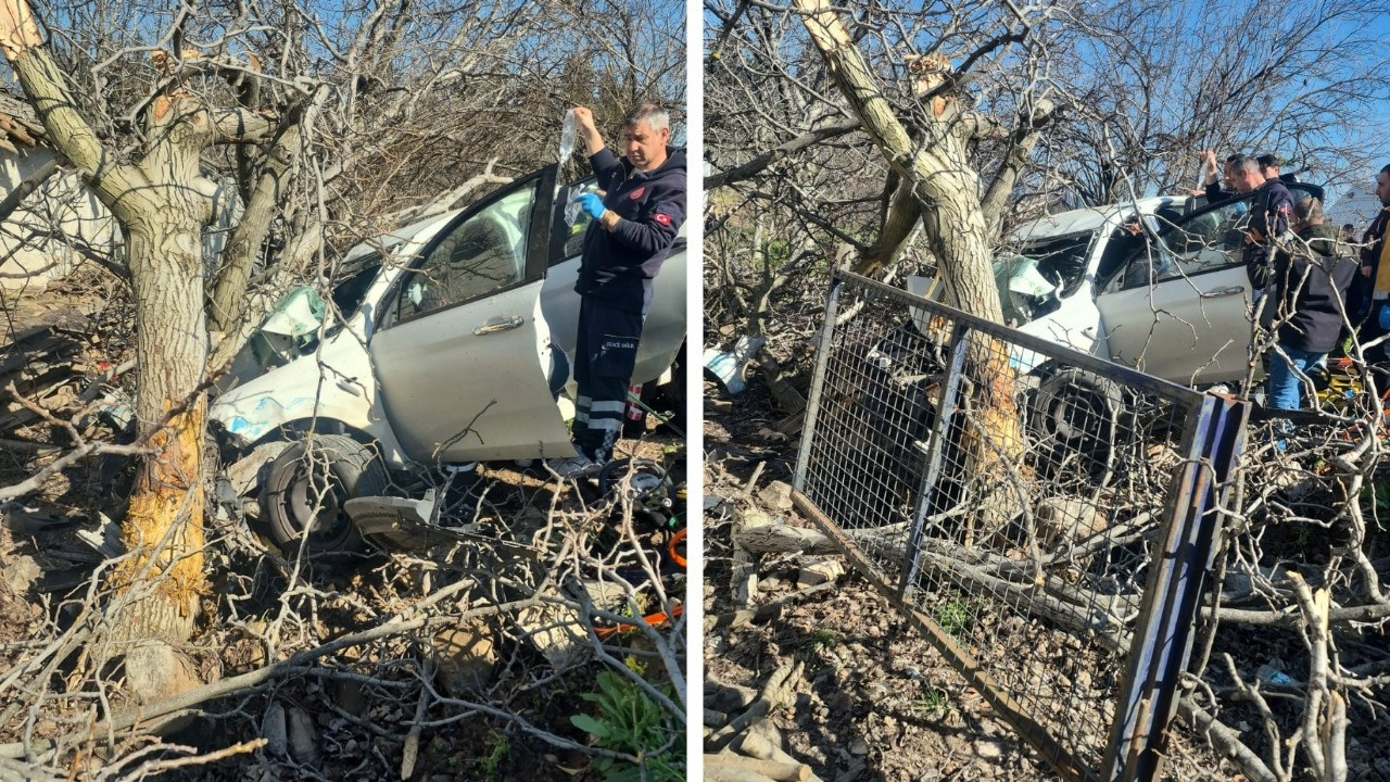 Kontrolden çıkıp ağaca saplandı: 2 ölü