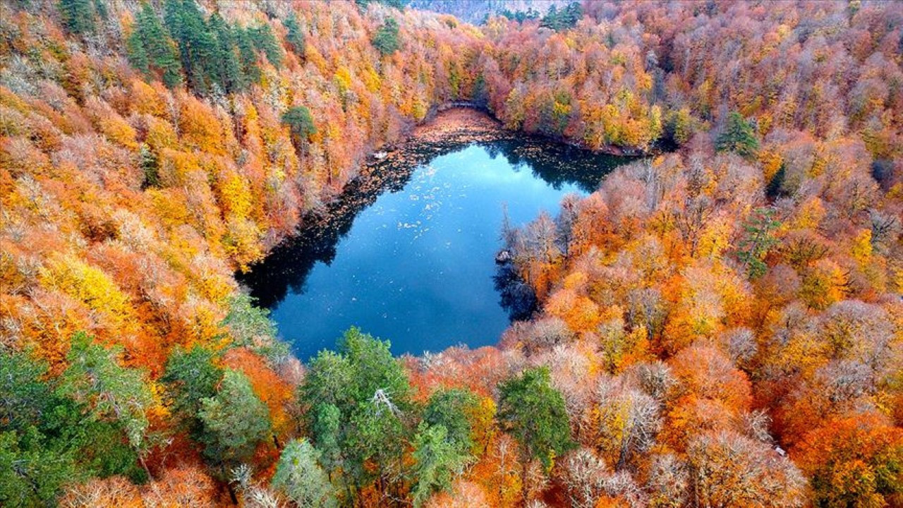 Milli parklarla ilgili teklif yasalaştı