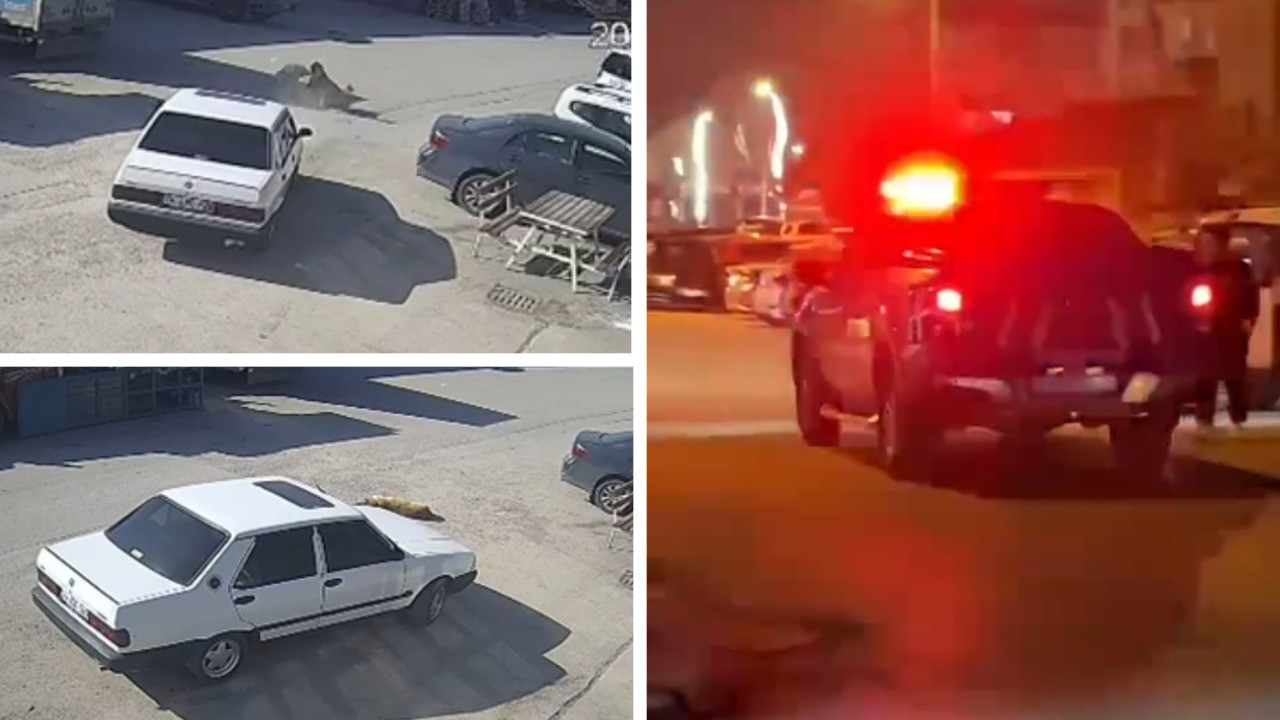 Yerde yatan köpeğin üzerinden otomobiliyle geçti! Cani sürücü gözaltında