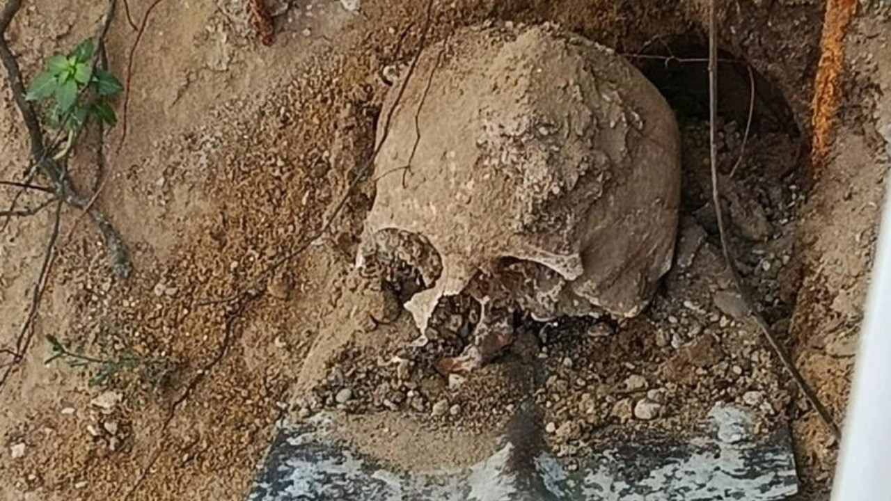 Bahçesinde kazı yaparken insan kafatası buldu