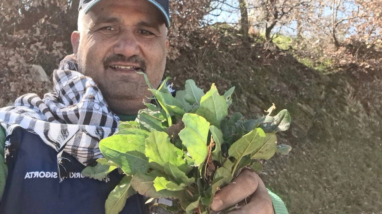 Kendiliğinden yetişiyor: Baharın habercisi tezgahlarda yerini aldı