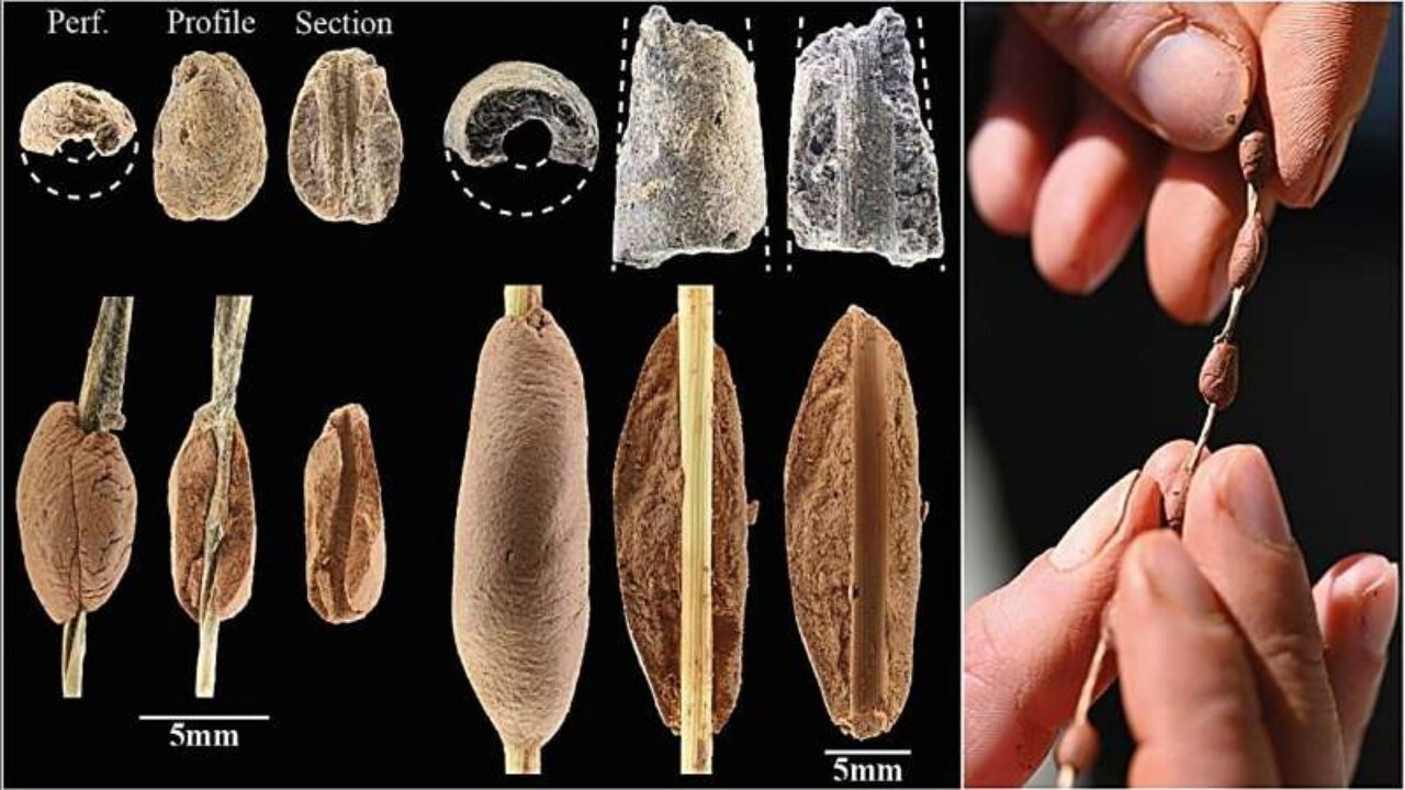 15 bin yıllık parmak izleri ortaya çıkardı: Çocuklar da yapmış