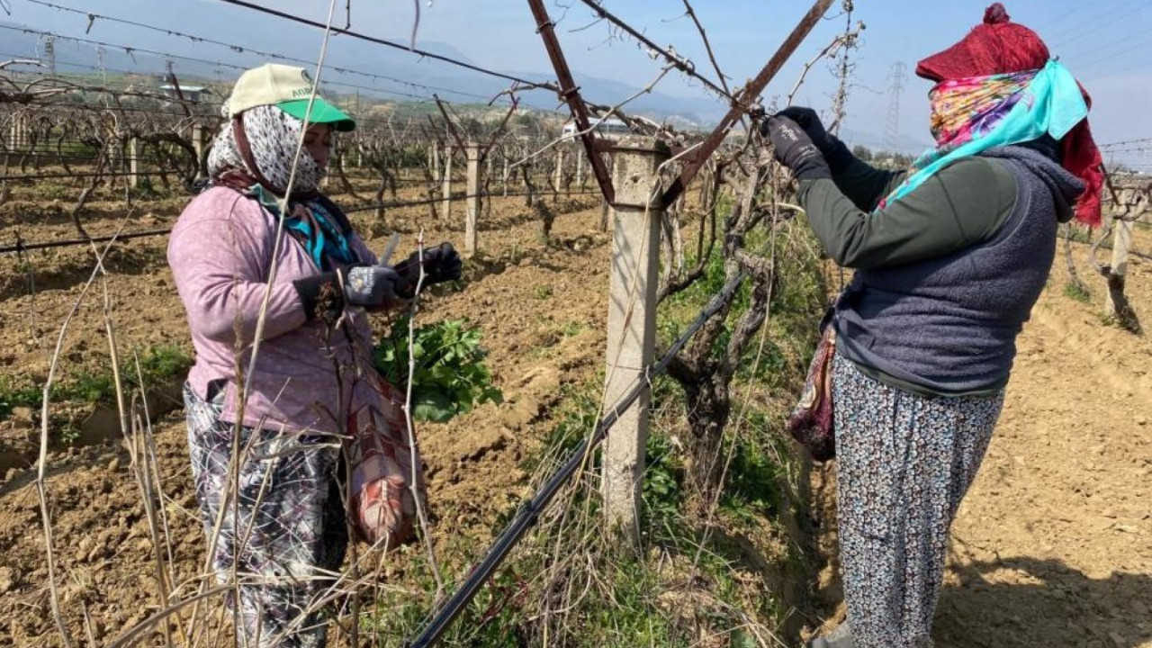 Sel vurdu, masraf katlandı: Günlük kazanç bin liradan başlıyor