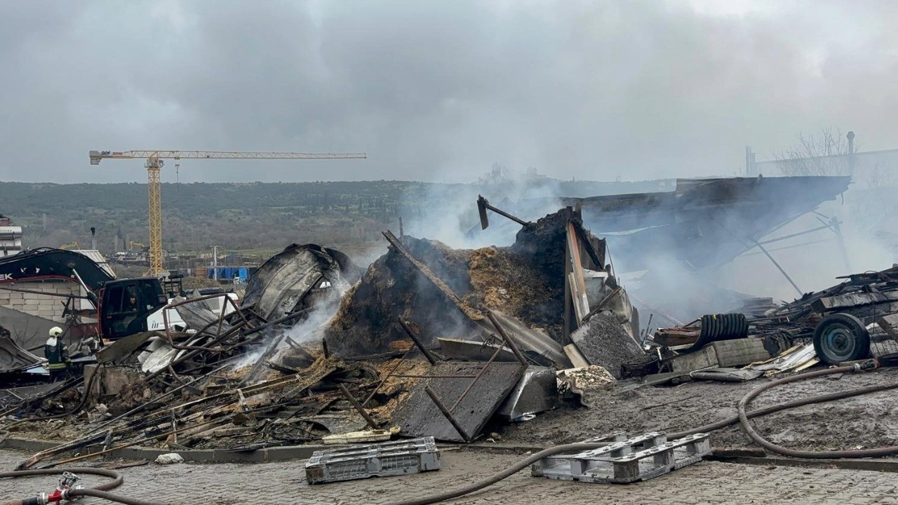 Ahır yangınında çok sayıda hayvan öldü