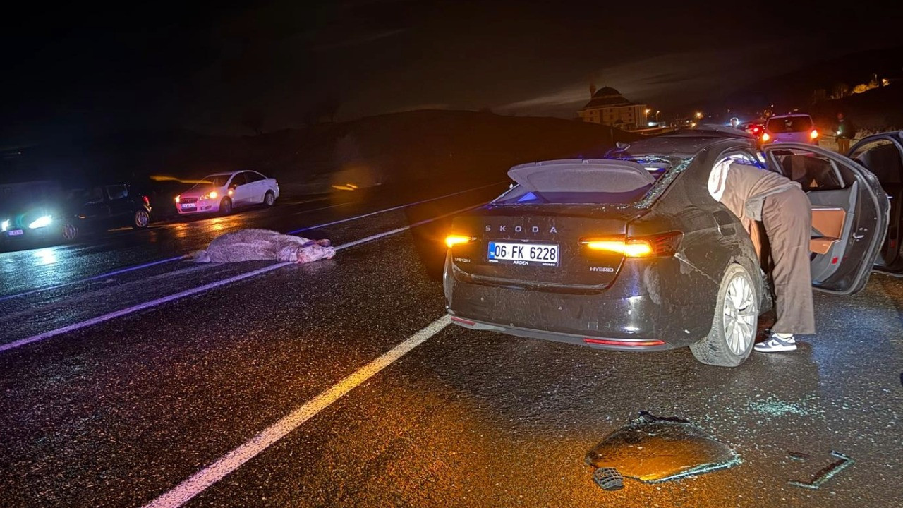 Ata çarpan otomobil hurdaya döndü