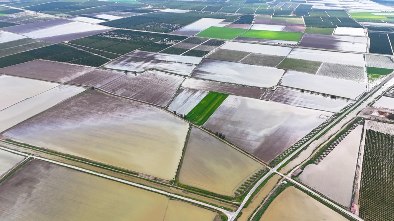 Çukurova'yı yağmur vurdu: Tarım arazileri sular altında