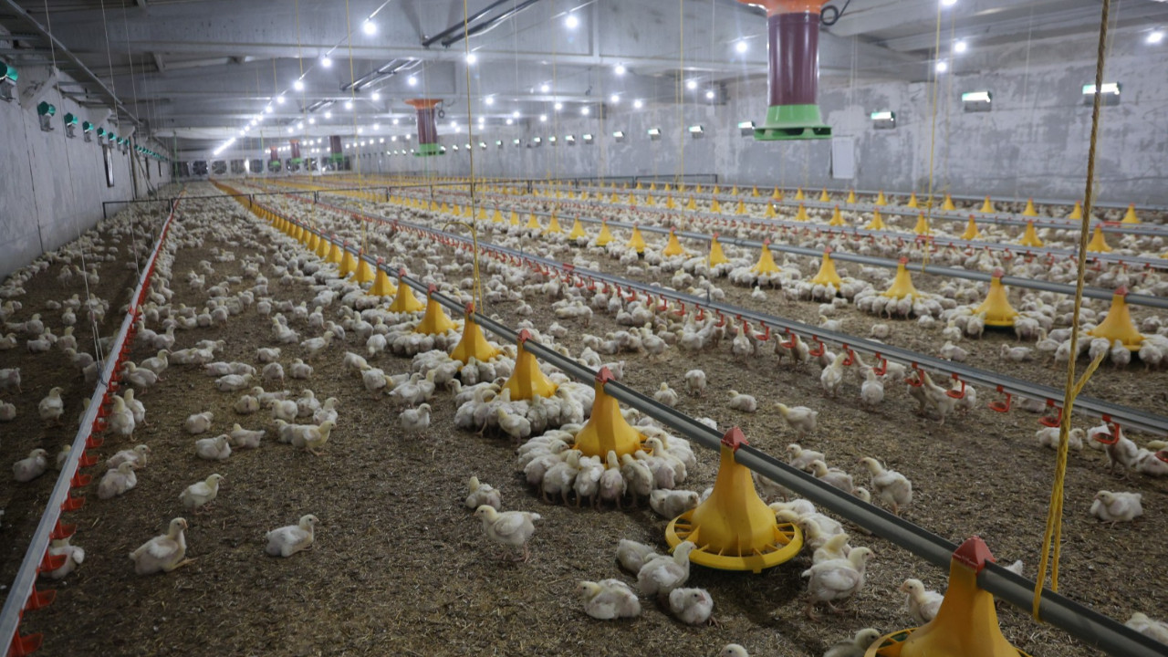 Devlet desteğiyle kurdu, ikinci çiftliği de açtı