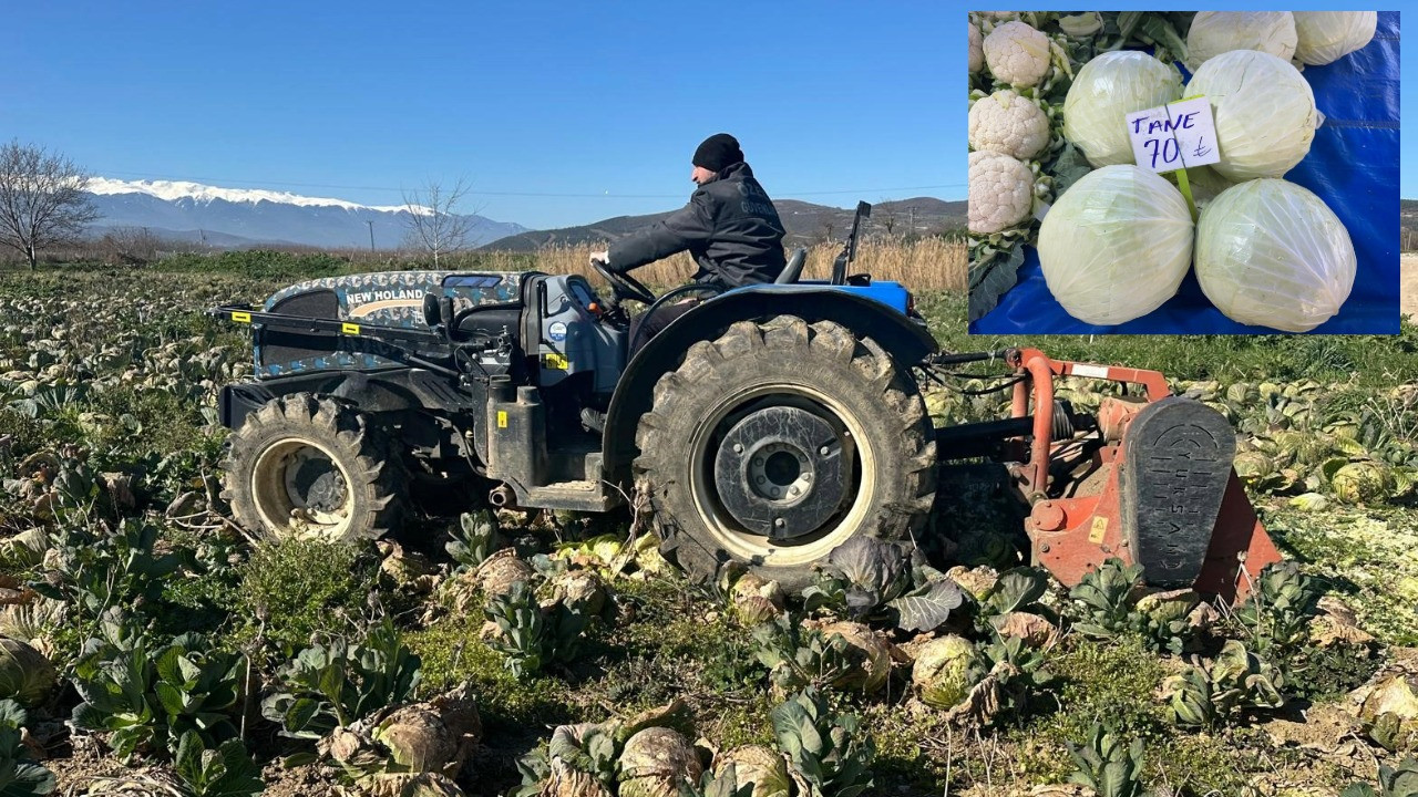 Tarlada 9 markette 100 lira! Ne çiftçi kazandı ne de vatandaş ucuza yedi