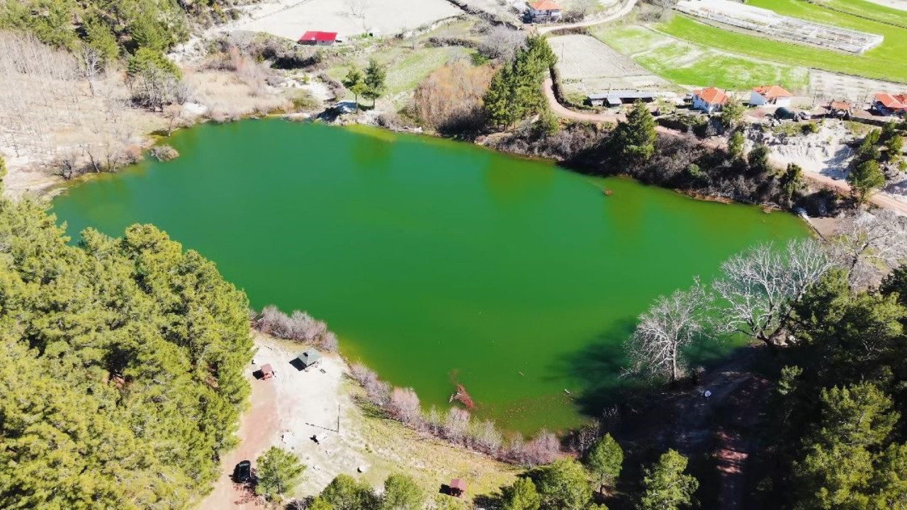 Yok olma noktasına gelmişti: Doğal güzellik eski günlerine döndü