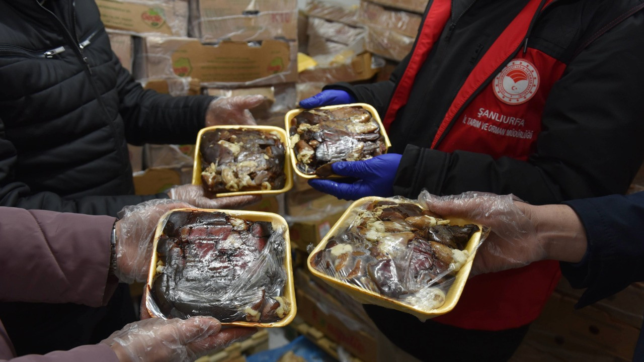 Şanlıurfa 50 ton bozuk tavuk eti ele geçirildi
