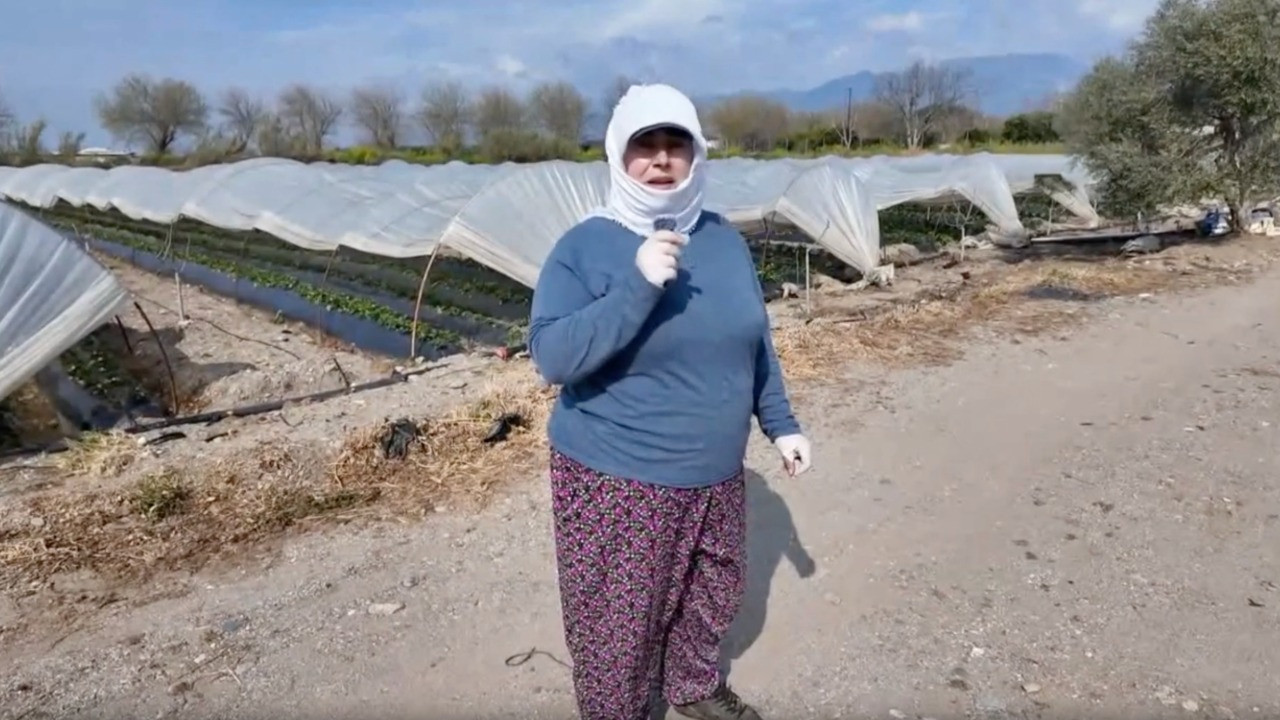 Dert yandı: Rezilliğimizi görüyorlar, istemiyorlar