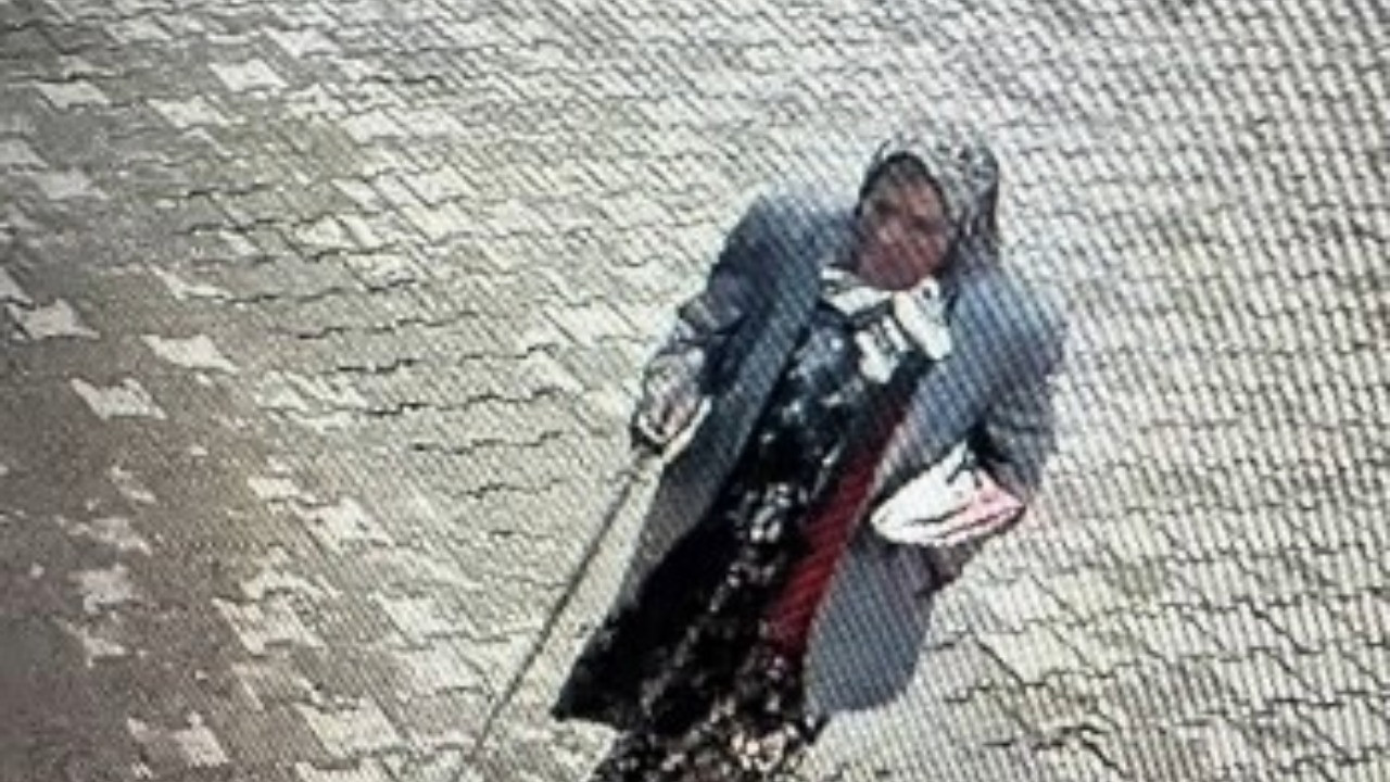 Kaybolan yaşlı kadın ölü bulundu