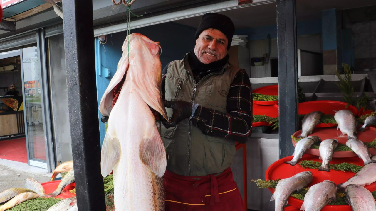 Munzur Çayı'nda yakaladı, hemen sattı: 80 kilo