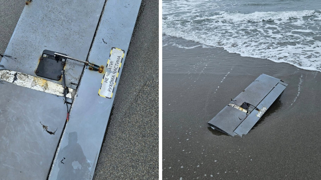 Sahile vurdu, ekipler harekete geçti