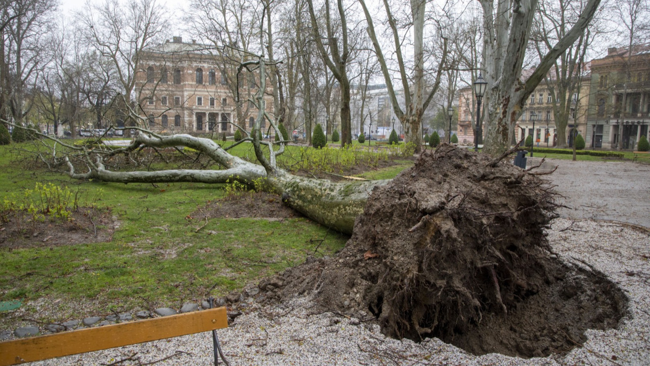 Çatılar uçtu, ağaçlar devrildi