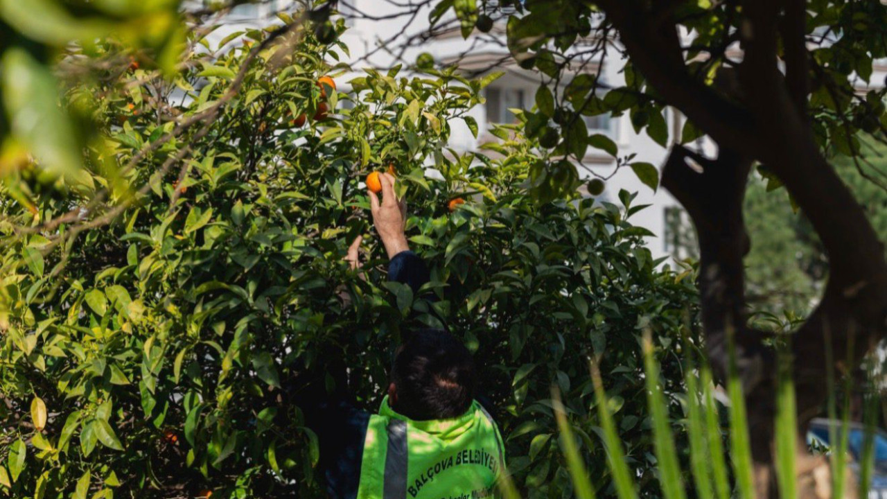 Dalında kalmıyor ihtiyaç sahiplerine ulaştırılıyor