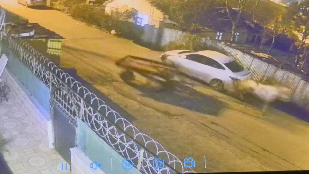 Koşan at otomobillere çarptı