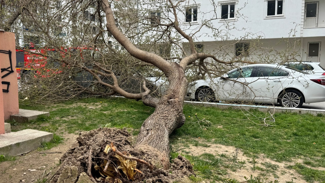 Şiddetli rüzgar kenti vurdu: Yürümek bile zorlaştı