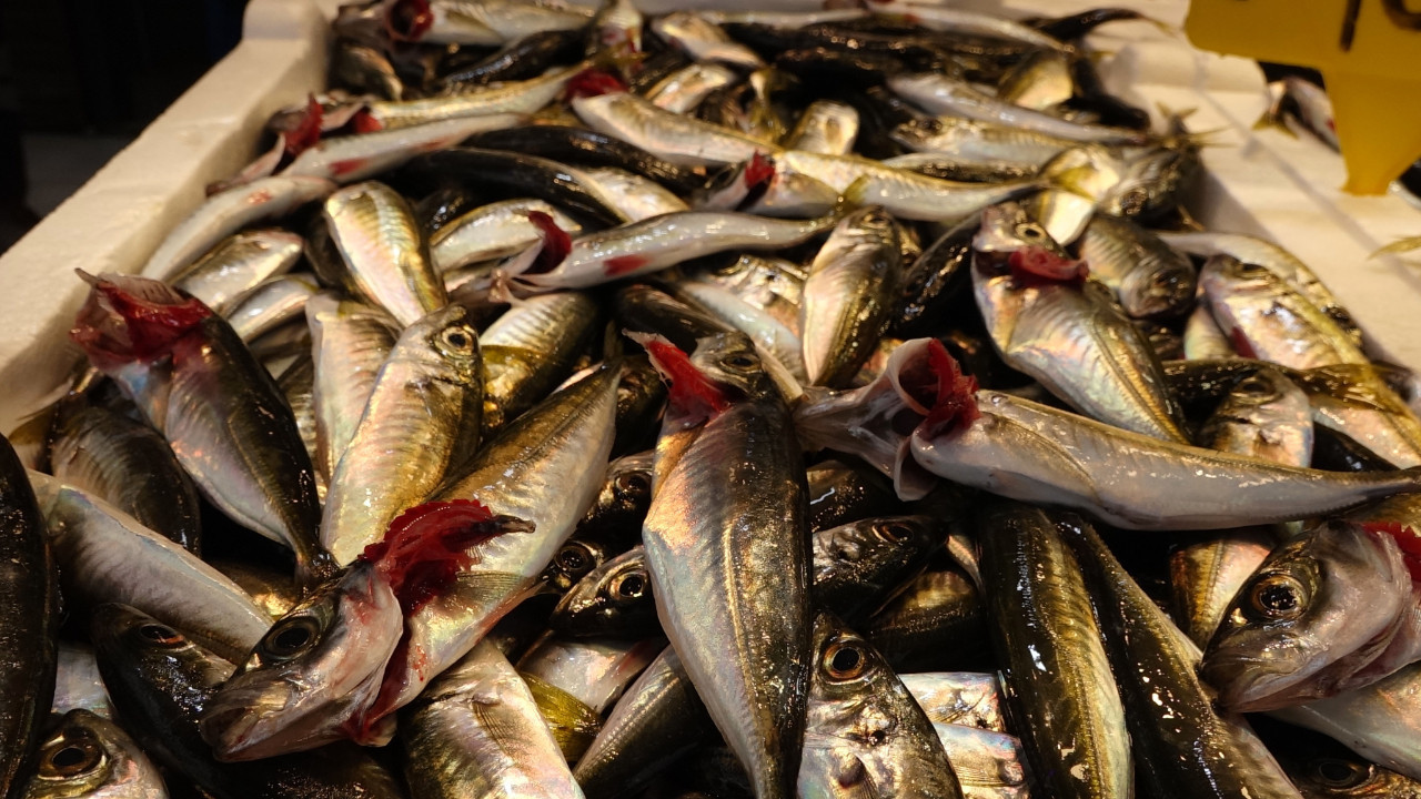 Av yasağı yaklaşınca hamsinin yerini aldı: Kilosu 100 TL