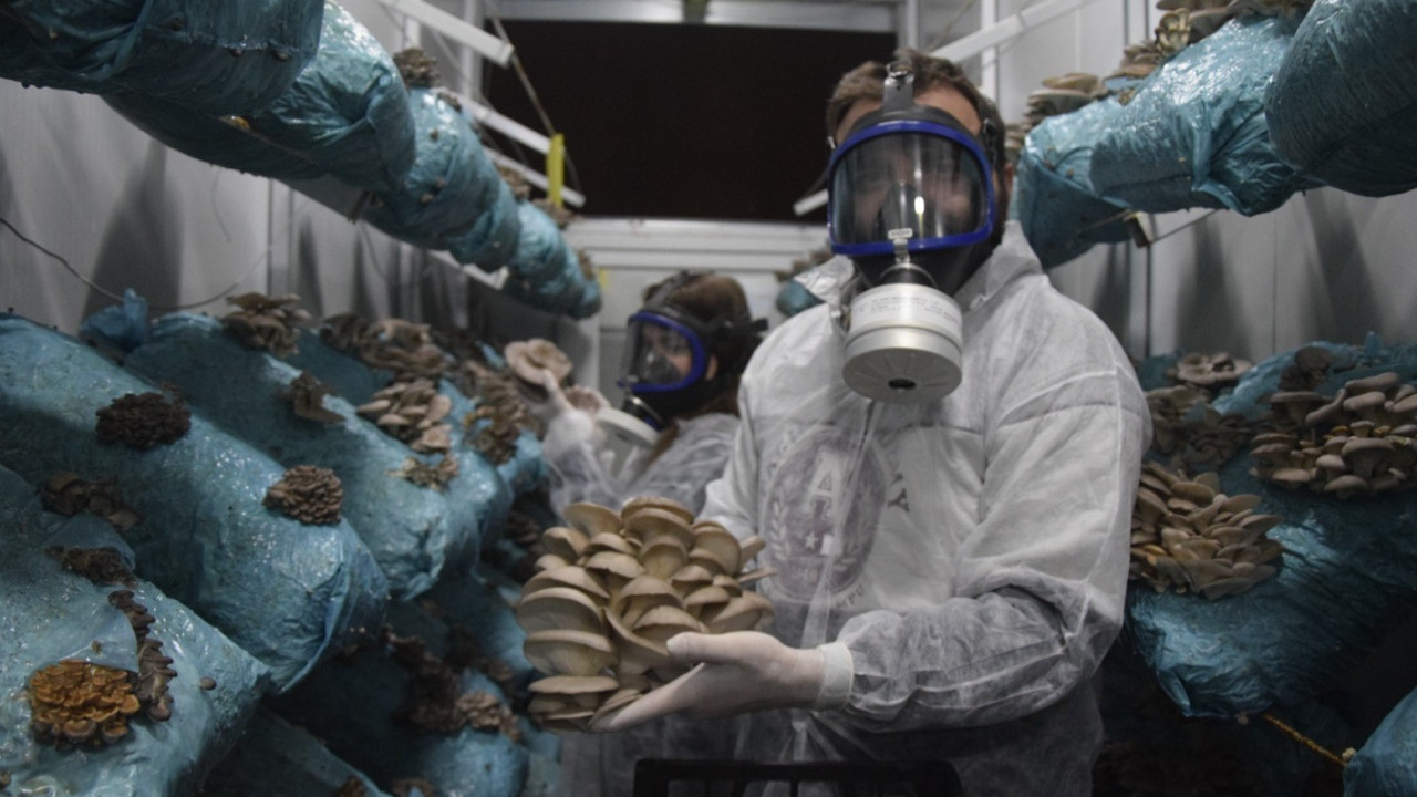 Hobiyle başladı, dev tesise dönüştürdü! 26 yaşında yılda 290 ton üretim