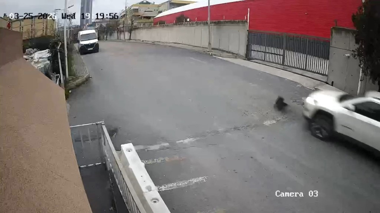 Köpeğin üstünden geçti, durmadan yola devam etti