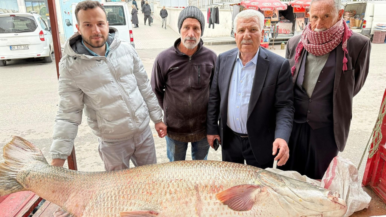 120 kiloluk balık görenleri şaşırttı