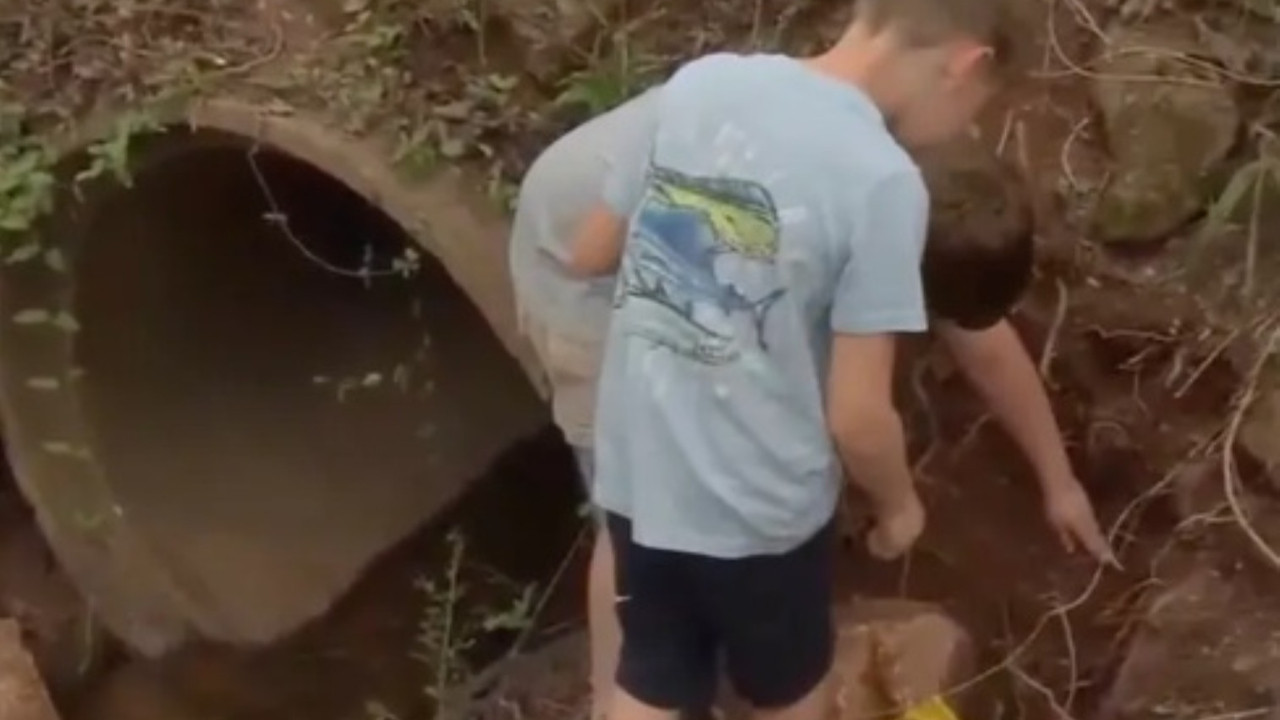 Çocuklar insan kafatası buldu, onlarca kemik çıktı
