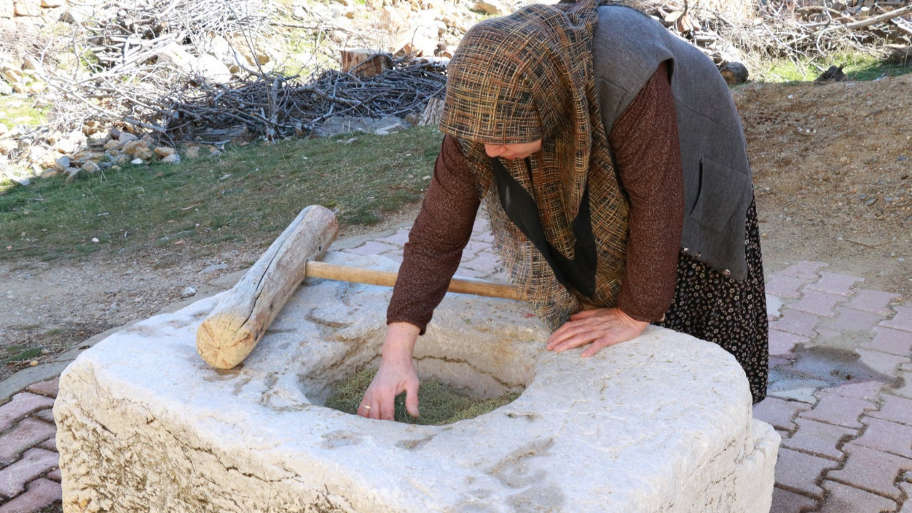 300 yıldır köyün ortasında, ortak kullanılıyor