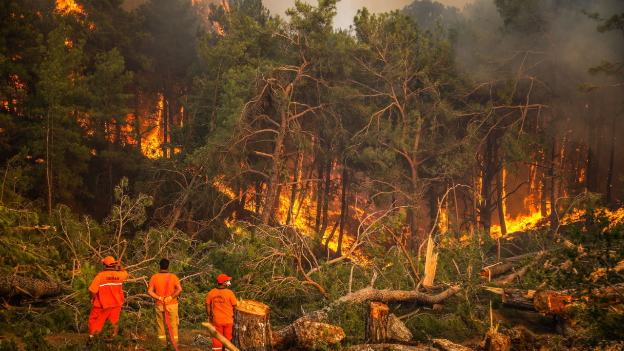 2025'te ihmal, dikkatsizlik, kasıt ve kazadan 1933 orman yangını çıktı
