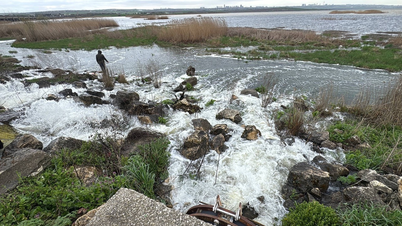 Büyükçekmece Gölü’nde su çekildi, balıklar kıyıda kaldı