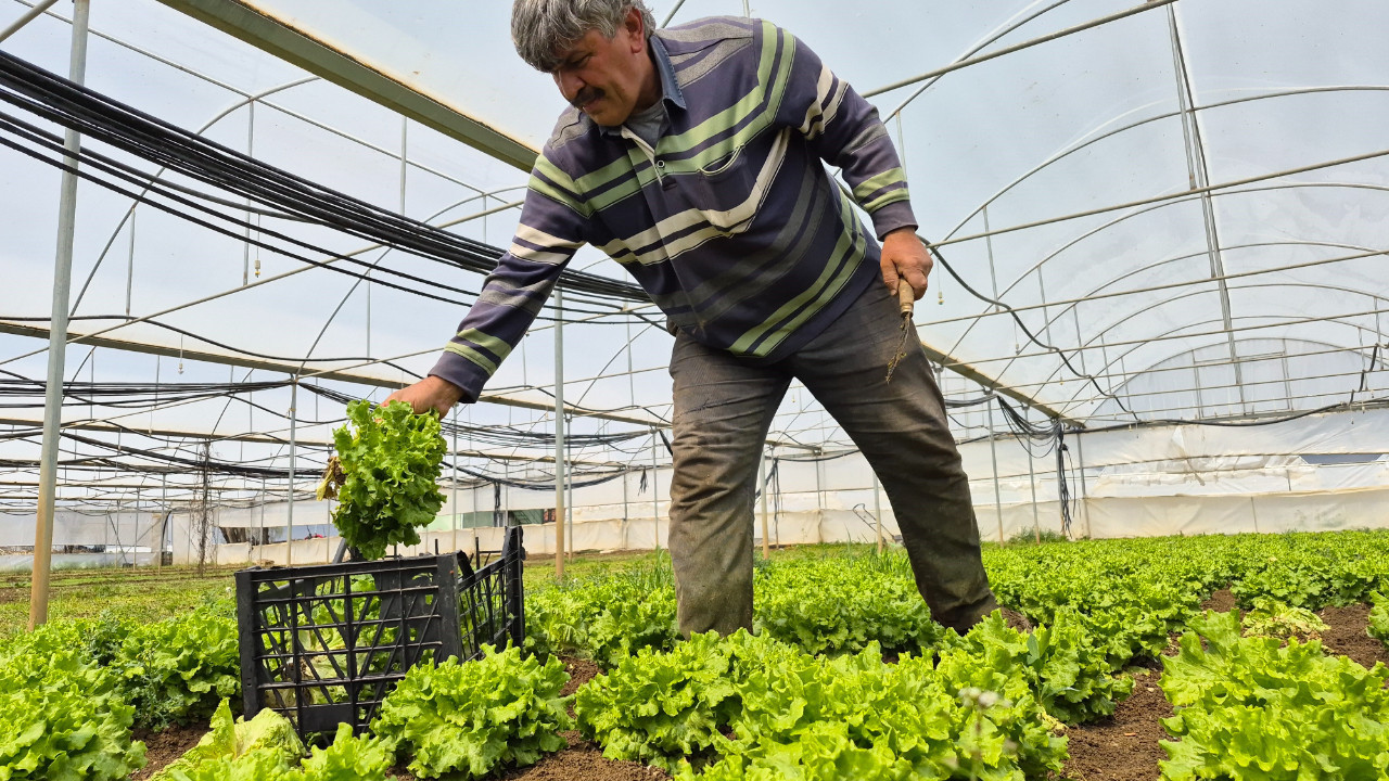 Tarladan tezgaha gelirken 85 lira zamlanıyor