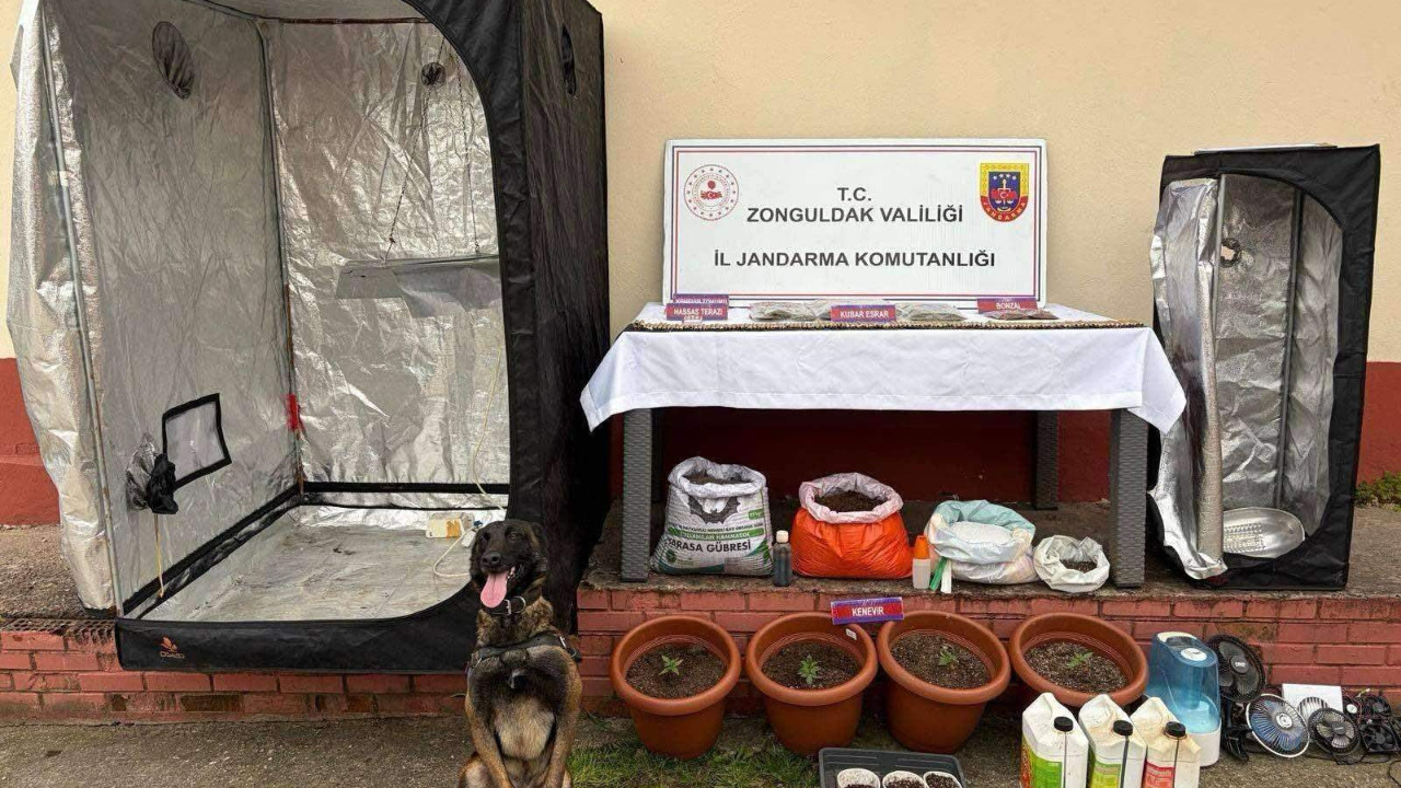 Zonguldak’ta uyuşturucu operasyonu: 15 gözaltı, 8 tutuklama