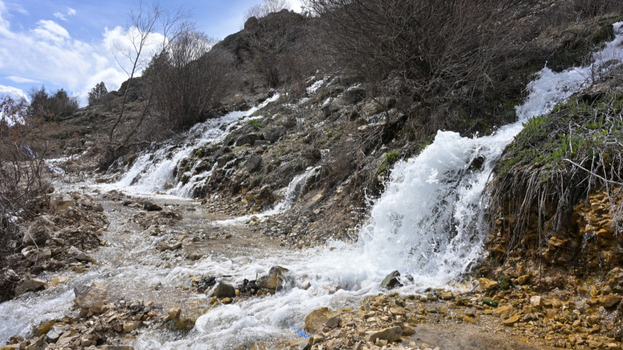 Gümüşhane’de nadir doğa olayı: Aynı anda başlayıp aynı anda duruyorlar