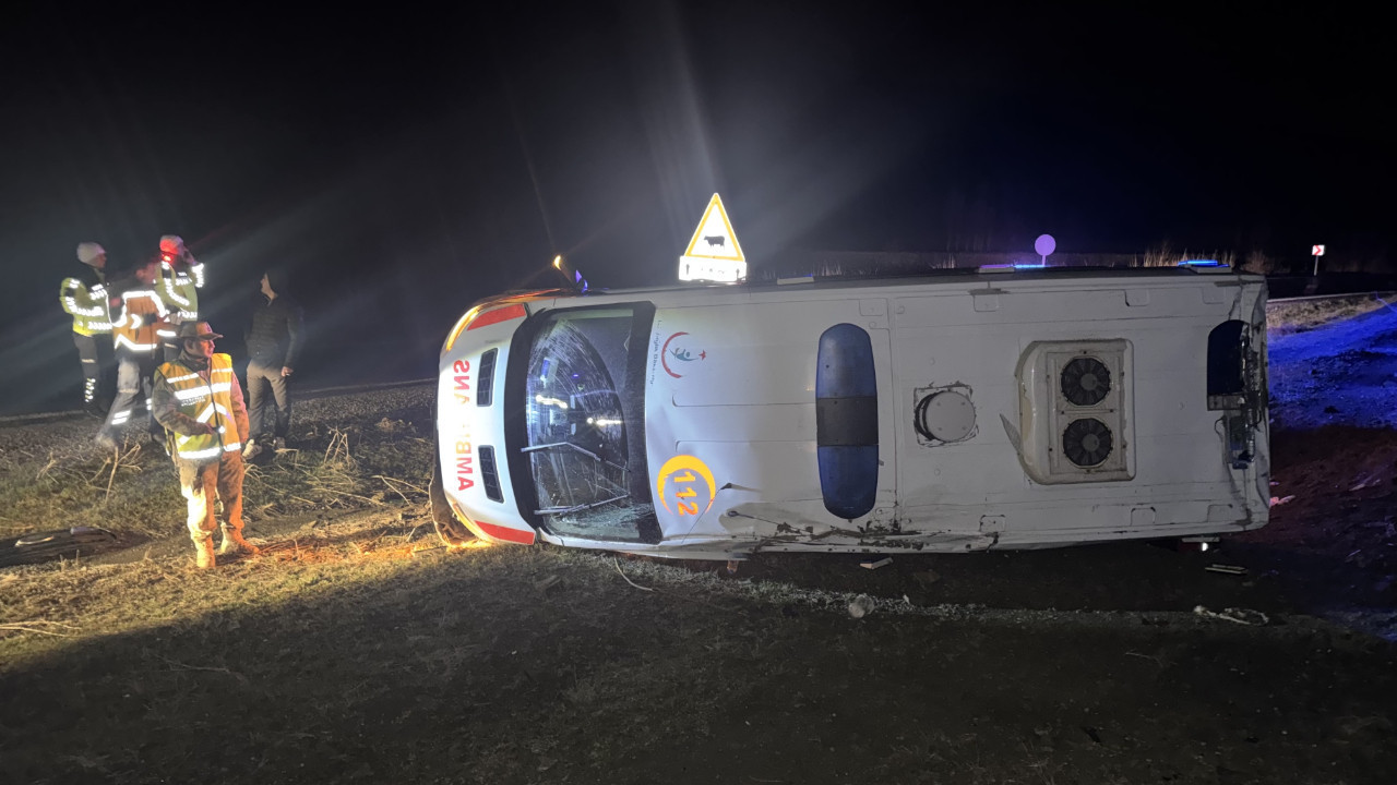 Bir günlük bebek ile annesini taşıyan ambulansın devrildi