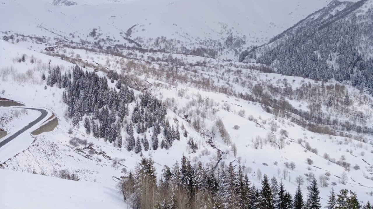 Doğu Karadeniz’de nisan ayında kar sürprizi: Yaylalar beyaza büründü