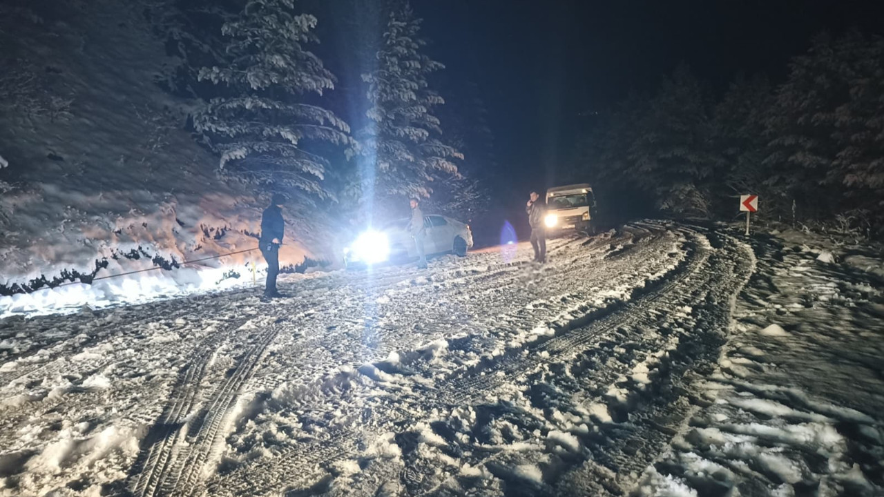 Kastamonu'da nisan karı