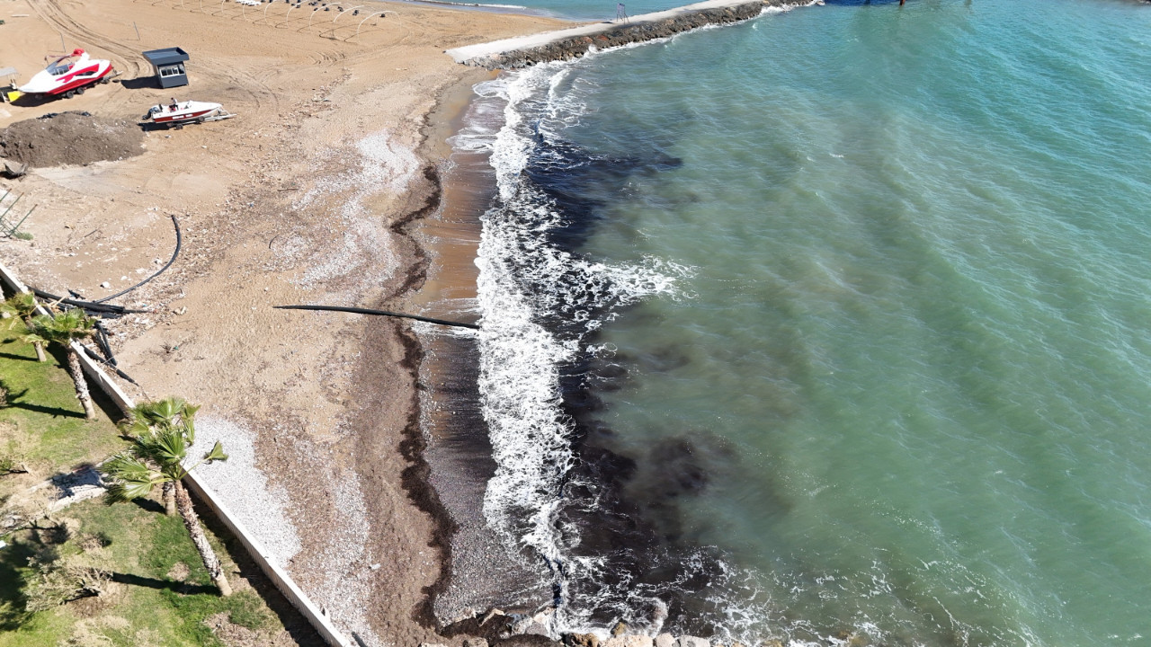 Alanya sahilinde tedirgin eden siyah tabakanın sırrı çözüldü