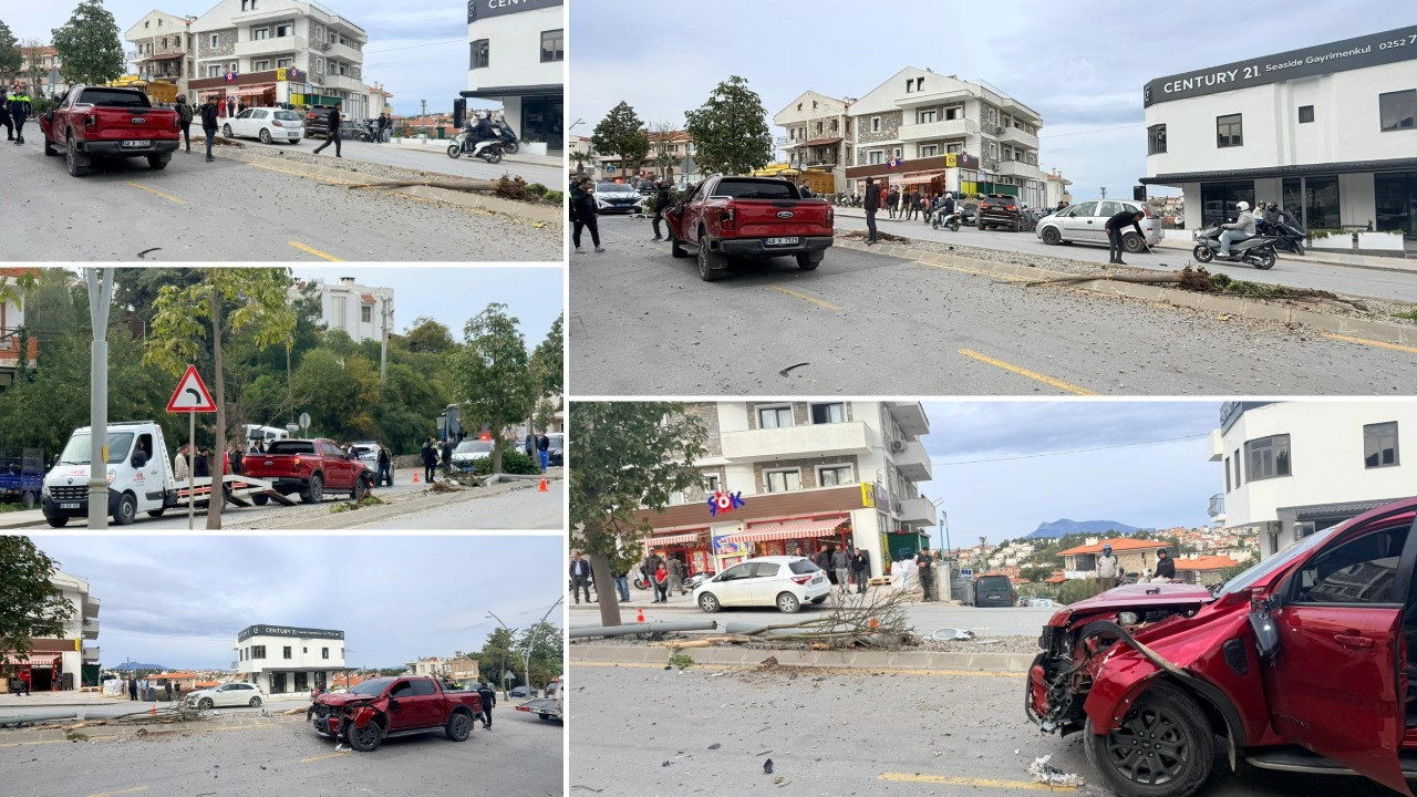 İki ağaç ve elektrik direğini yerinden söktükten sonra durabildi