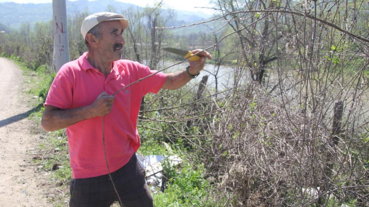 Doğadan topluyor işleyerek 2 bin liraya satıyor