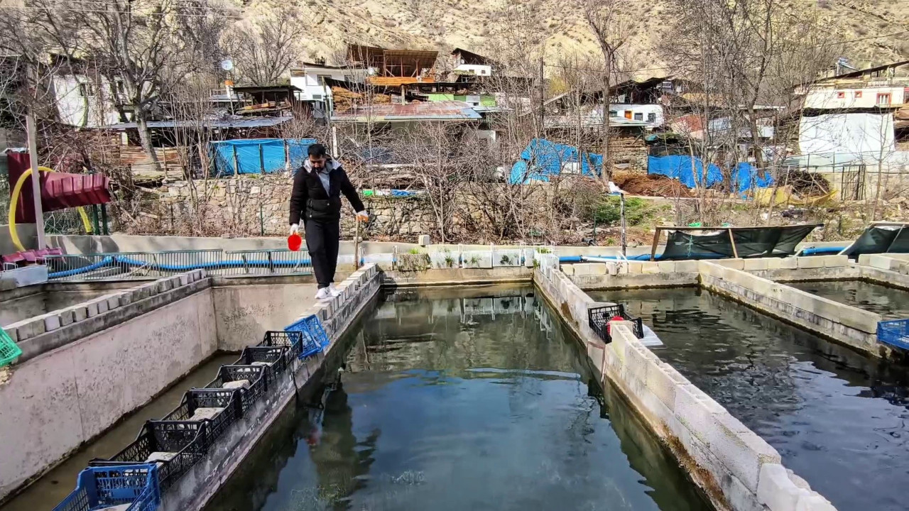 Yanlış klorlamanın zararı sürüyor: 300 bin balık öldü