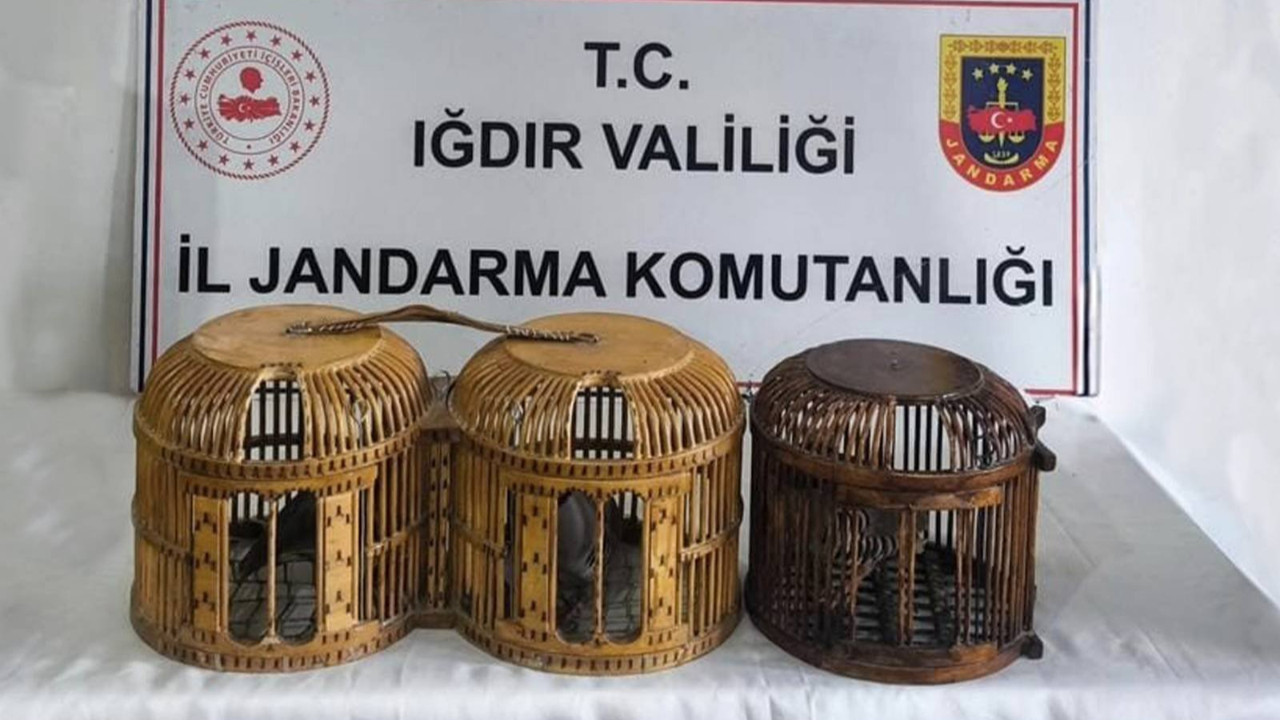 Iğdır’da kaçak keklik avlayan 3 kişiye 72 bin TL ceza
